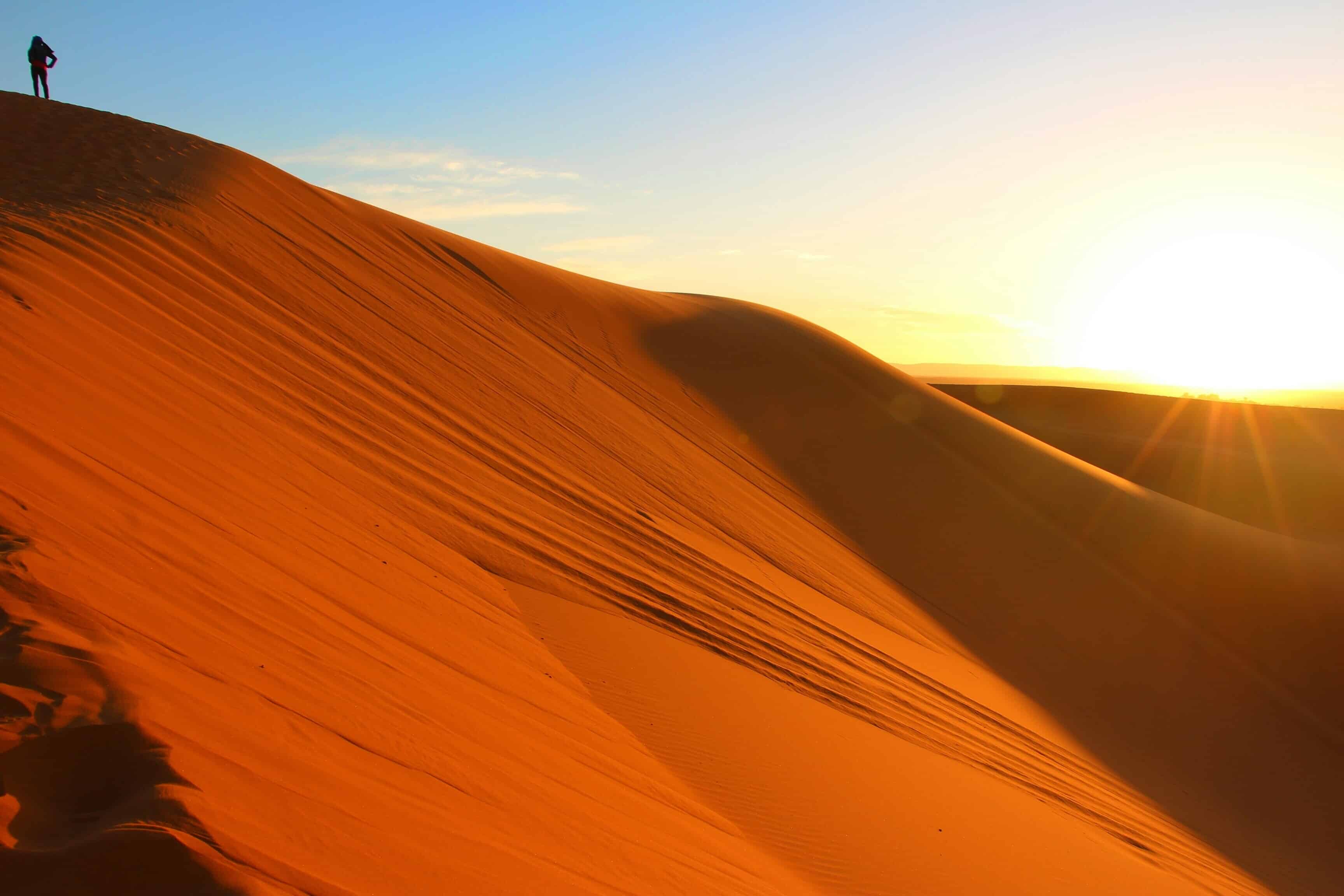 Experience the isolation and beauty of the Sahara Desert on your tour.