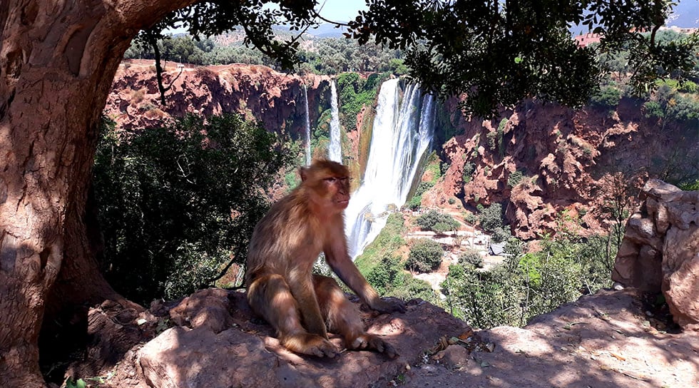 Ouzoud Waterfalls day trip from Marrakesh 4