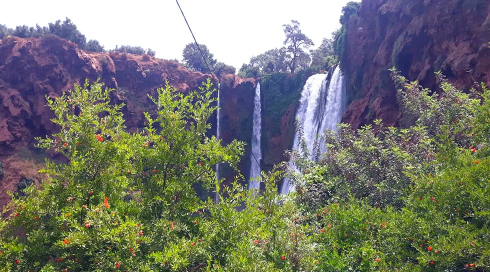 Ouzoud Waterfalls day trip from Marrakesh 7