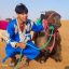 camel header in morocco desert