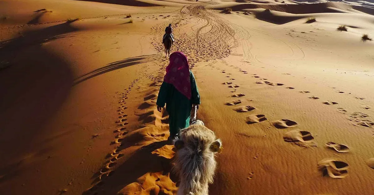 3 Days Tour From Marrakech To Merzouga