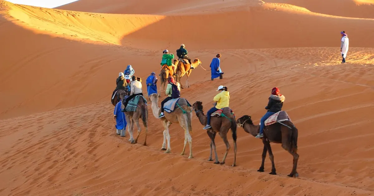 4 Days Tour From Marrakech To Fes