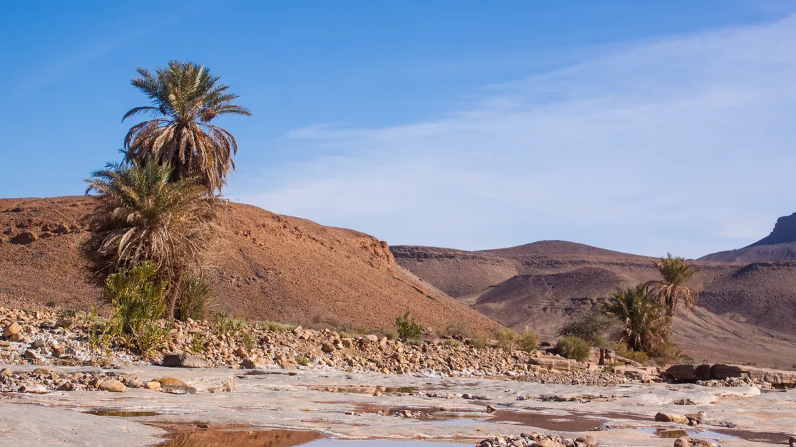 Marrakech Desert Tour 2 Days
