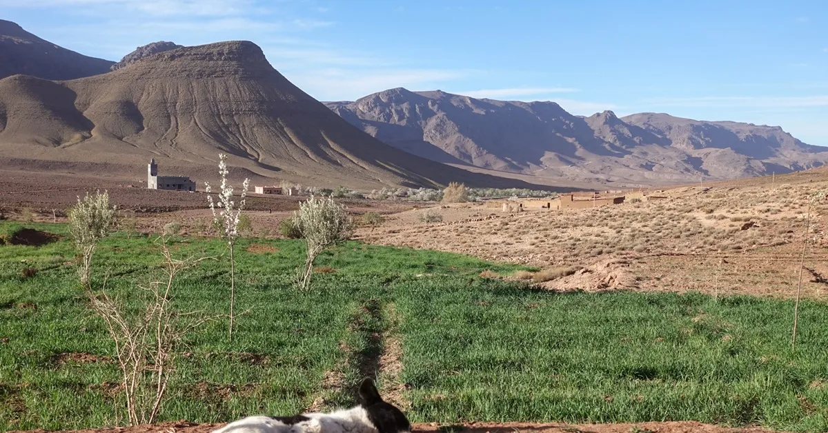 Best Hiking Trails in Morocco