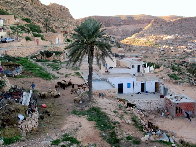 Cultural Experience in Berber Village