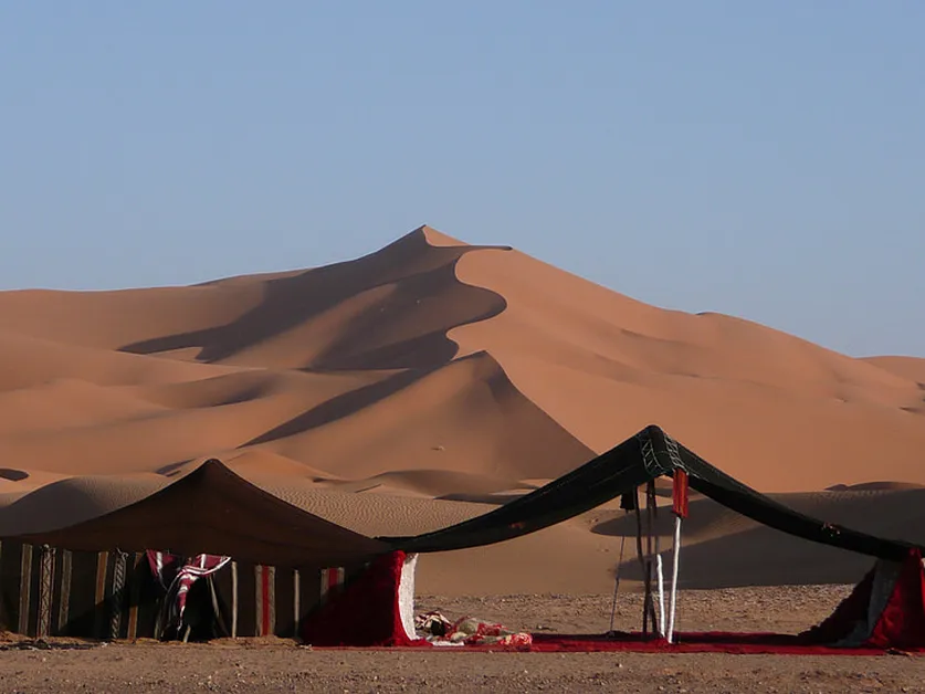 Daily Life in the Saharan Wilderness
