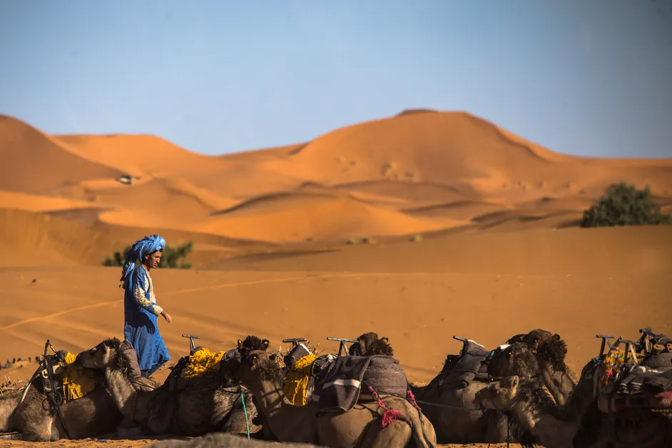 Desert Activities and Experiences