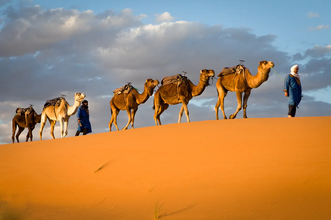 Desert Glamping Adventure