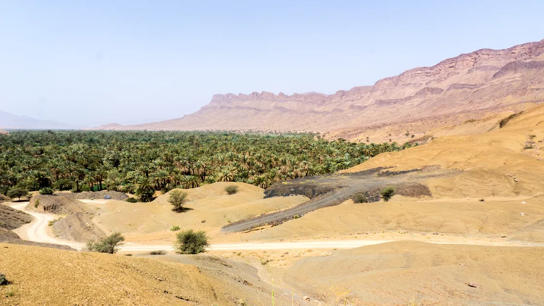 Desert adventures in the Draa Valley