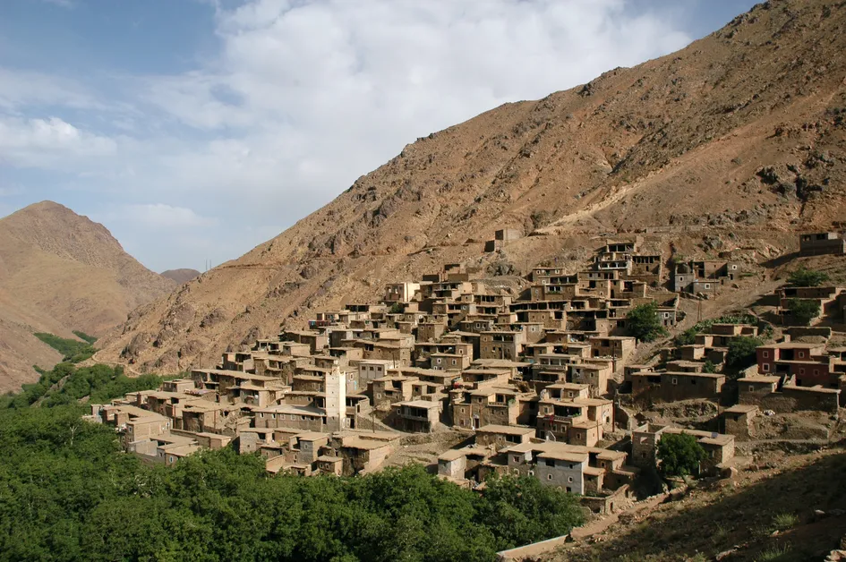 Living in Harsh Environments