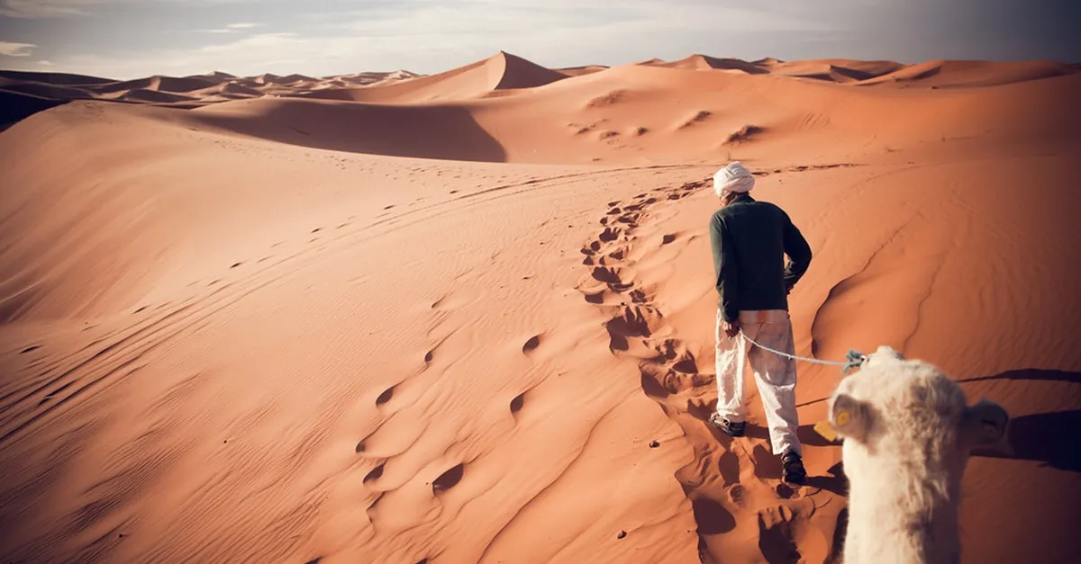 Morocco Walking Tours With Local Guides