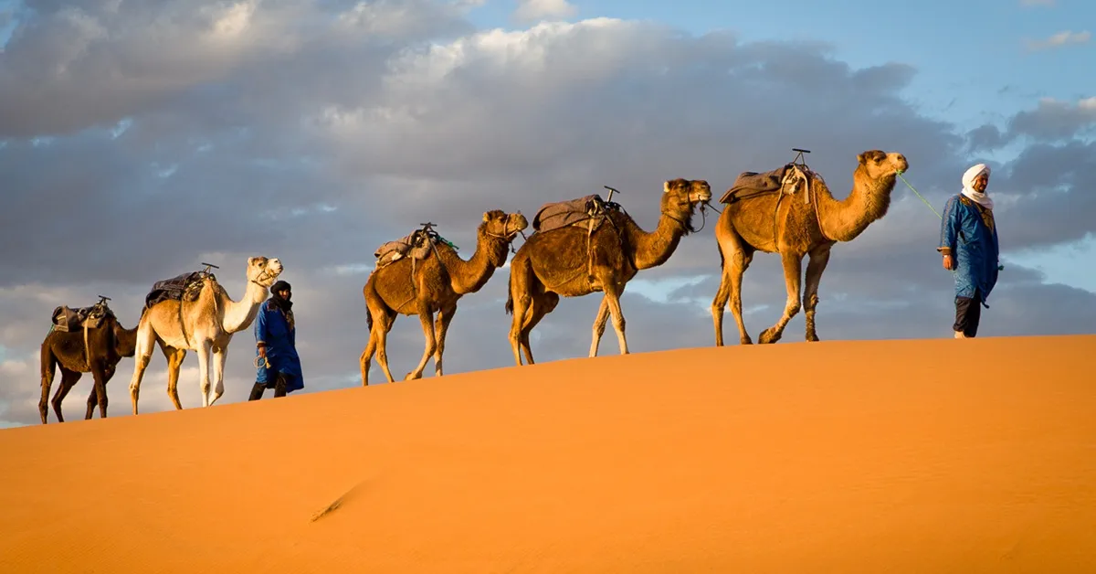 Nomadic Tribes of Morocco