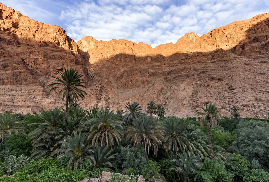 Tinghir Oasis