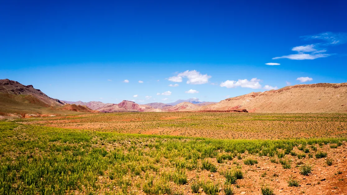 Wonders of Draa Valley