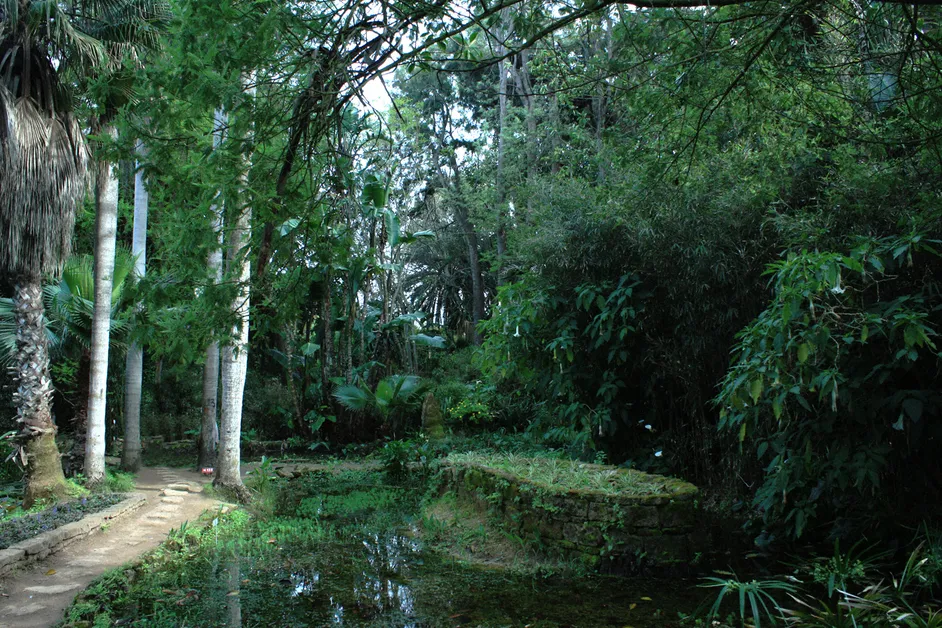 Jardins Exotiques