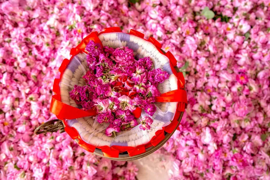 Local Rose Products at Rosa Bio