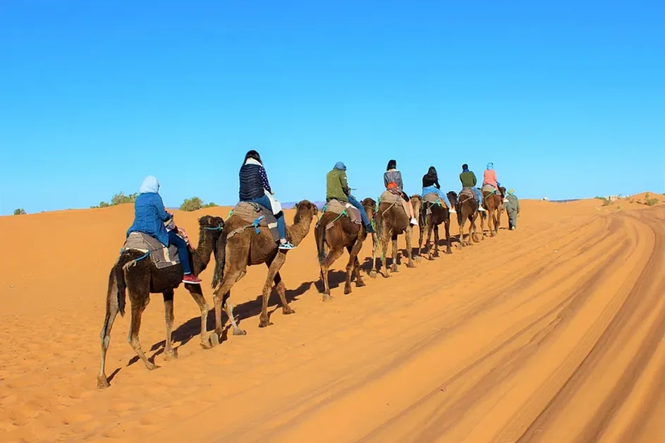 Camel Trekking Adventures