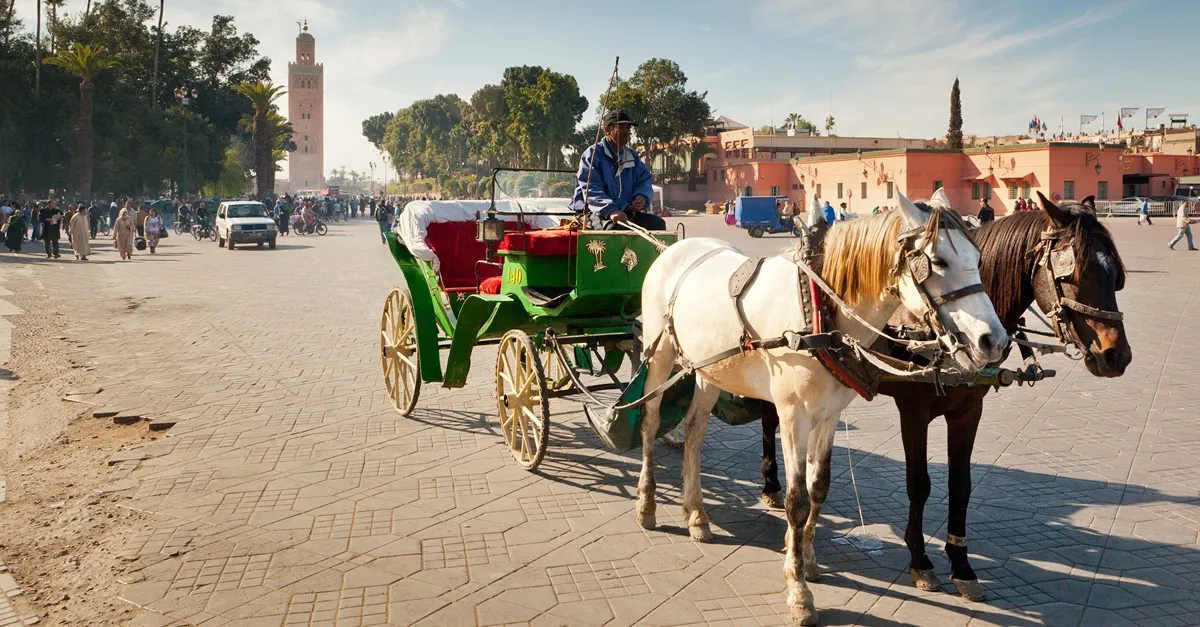 Horse-Drawn Carriage Tour in Marrakech