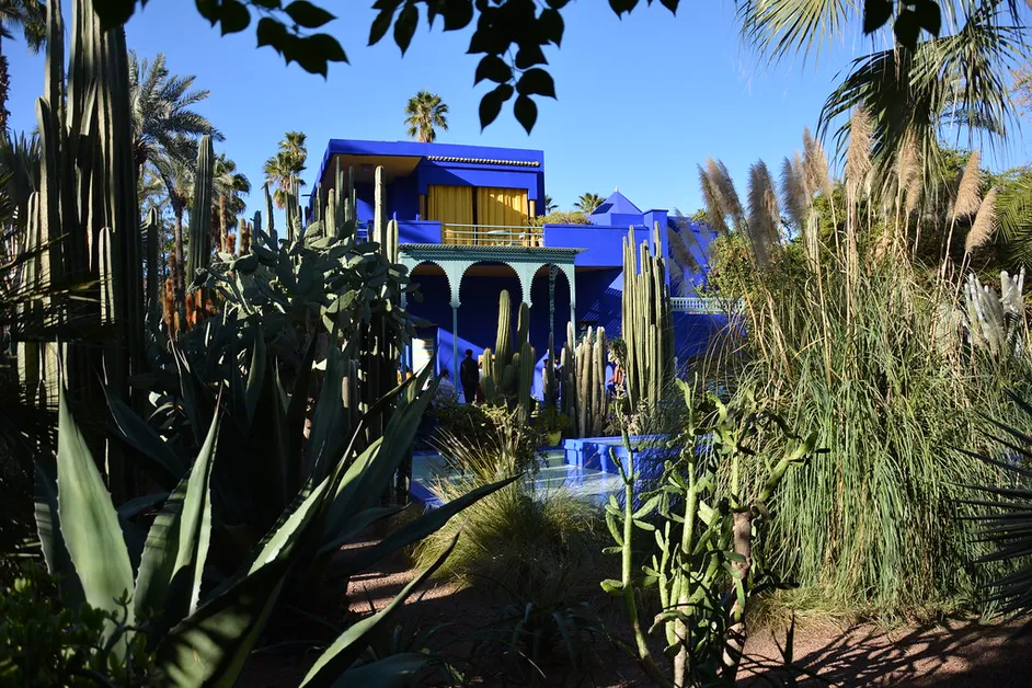 Couple get Charmed by Jardin Majorelle