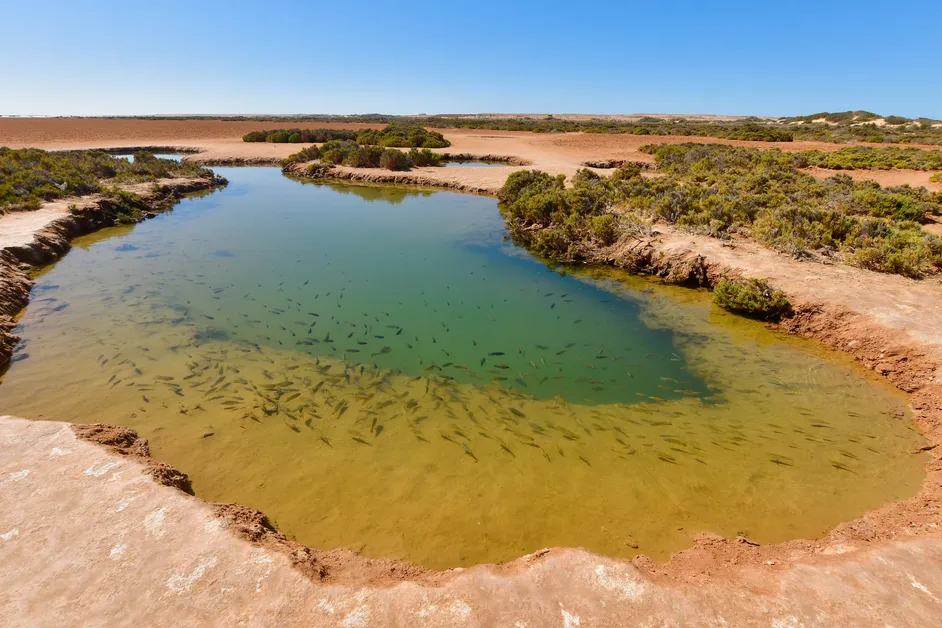 Dakhla National Park