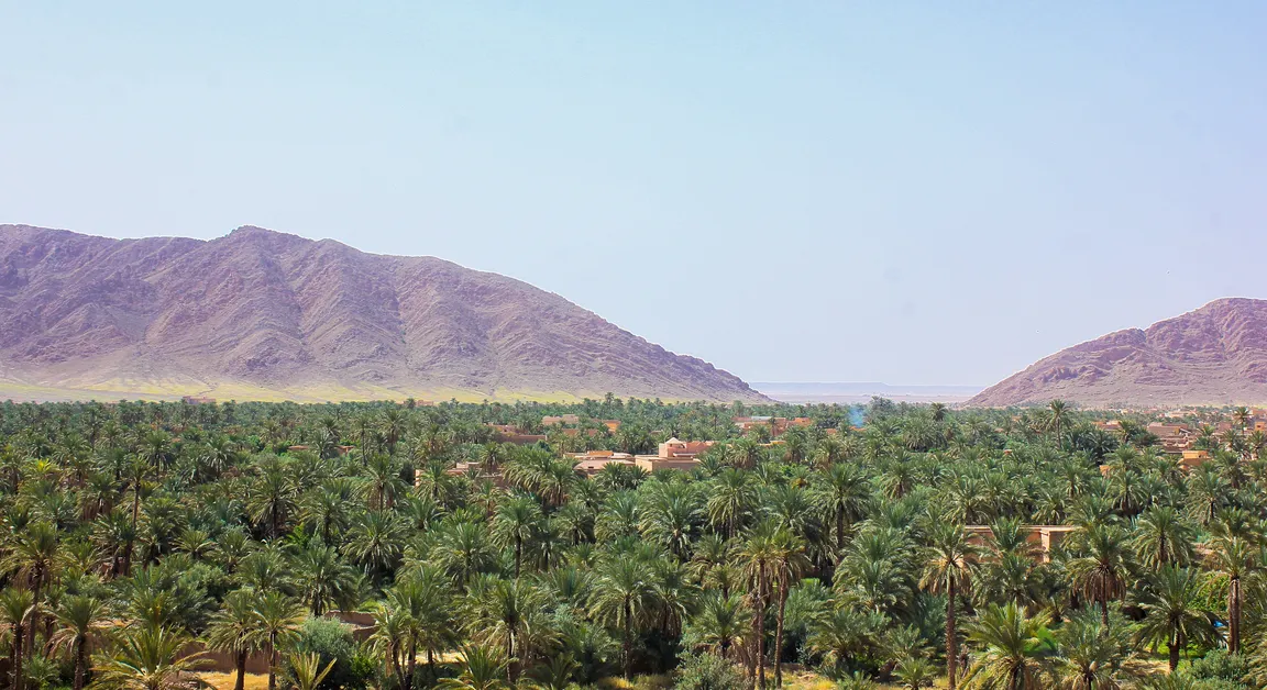 Figuig Oasis