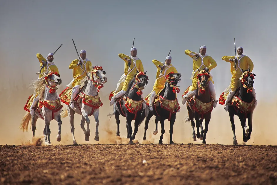 Planning Your Desert Festival Visit